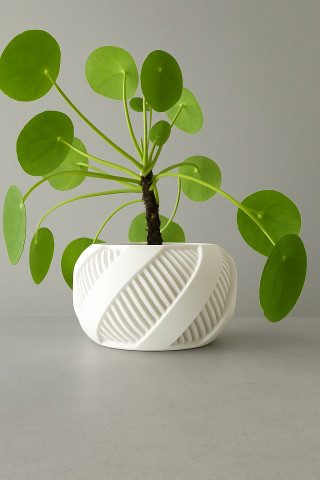 Brimo – Modern Spiral Tasarım Saksı