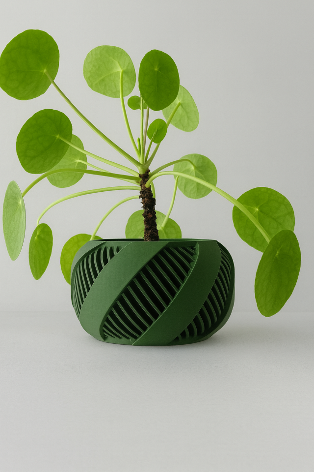 Brimo – Modern Spiral Tasarım Saksı